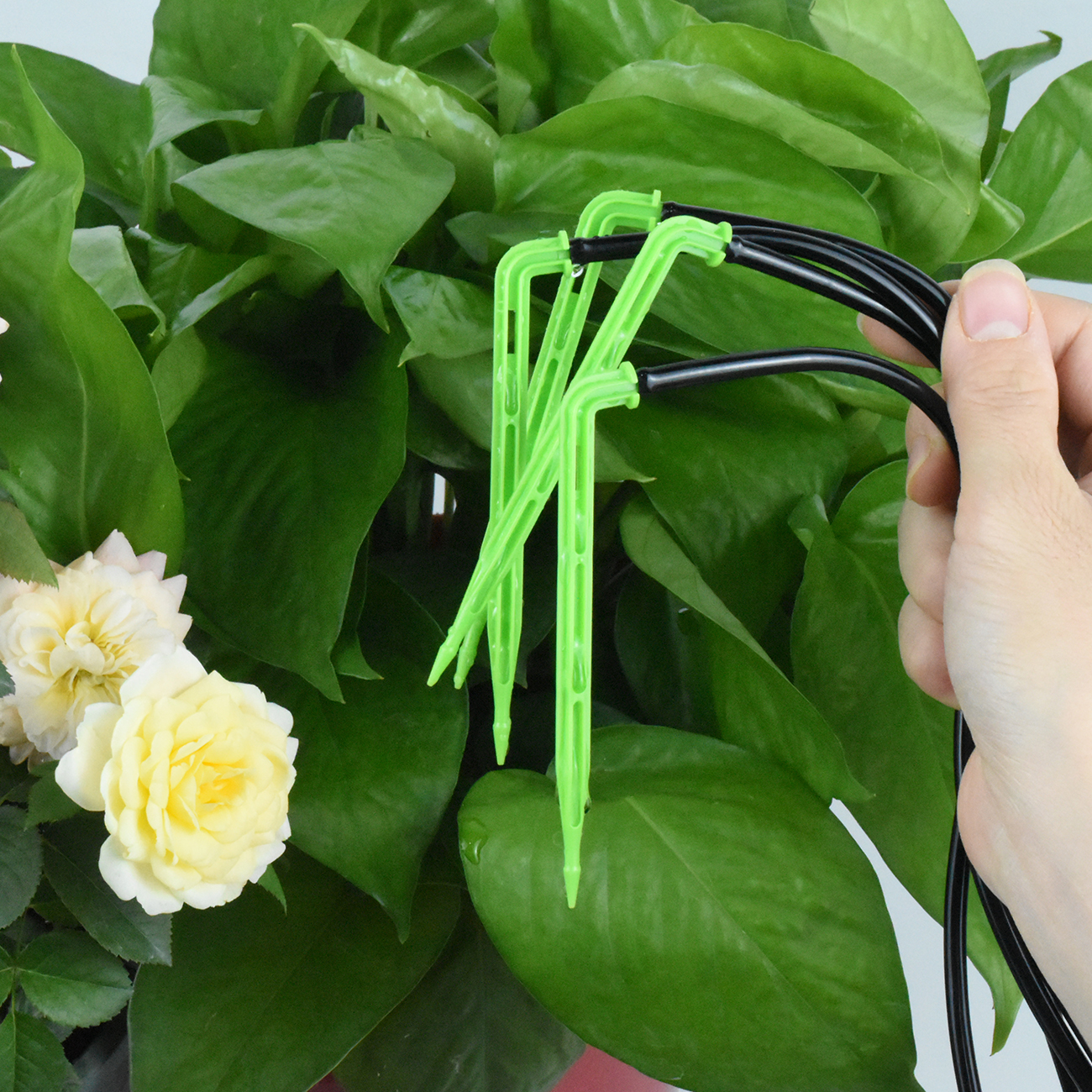 KESLA Garden 4/7mm to 3/5mm Ho - Smart Garden Auk 评论和价格