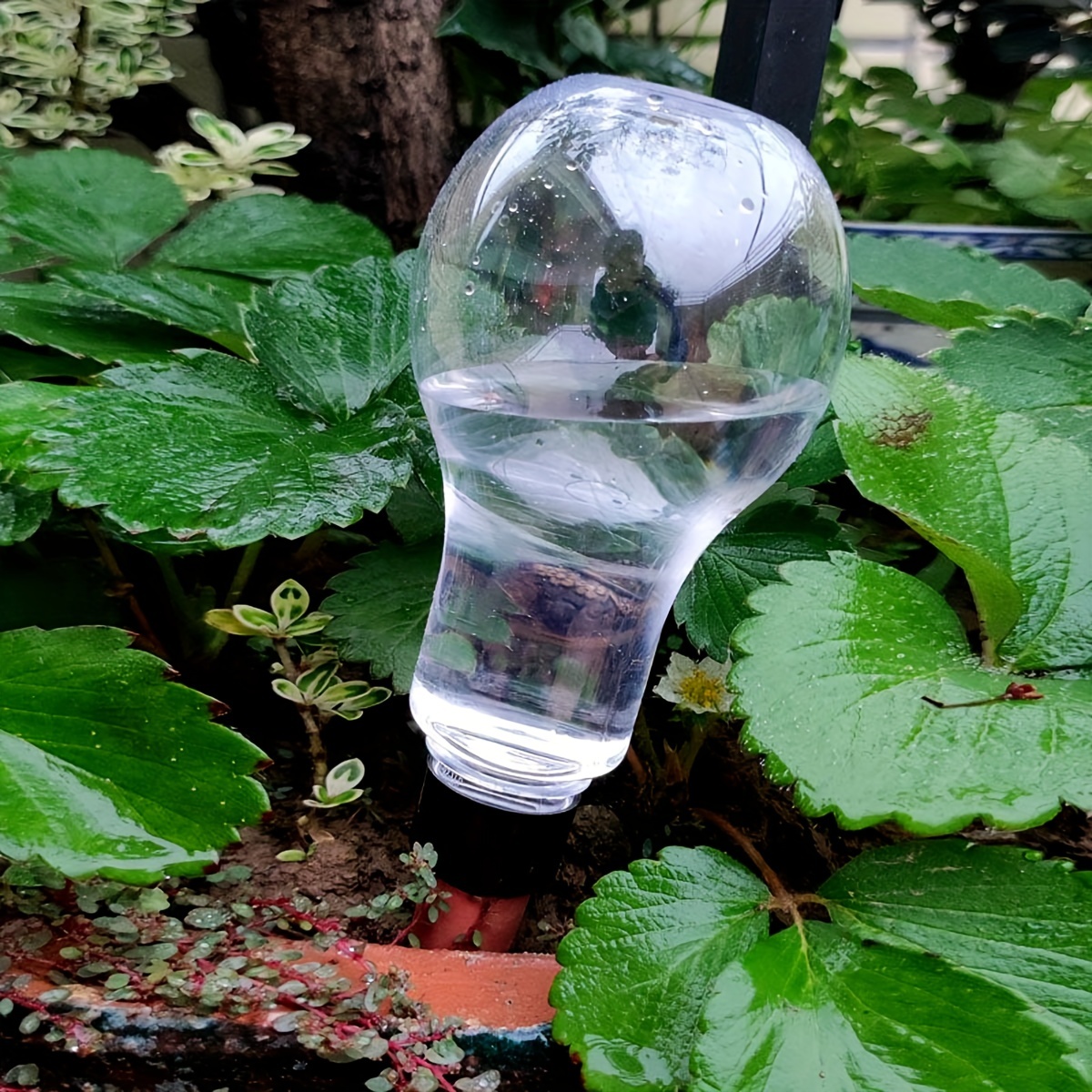Garden Automatic Watering Tool - Smart Garden Watering 评论和价格