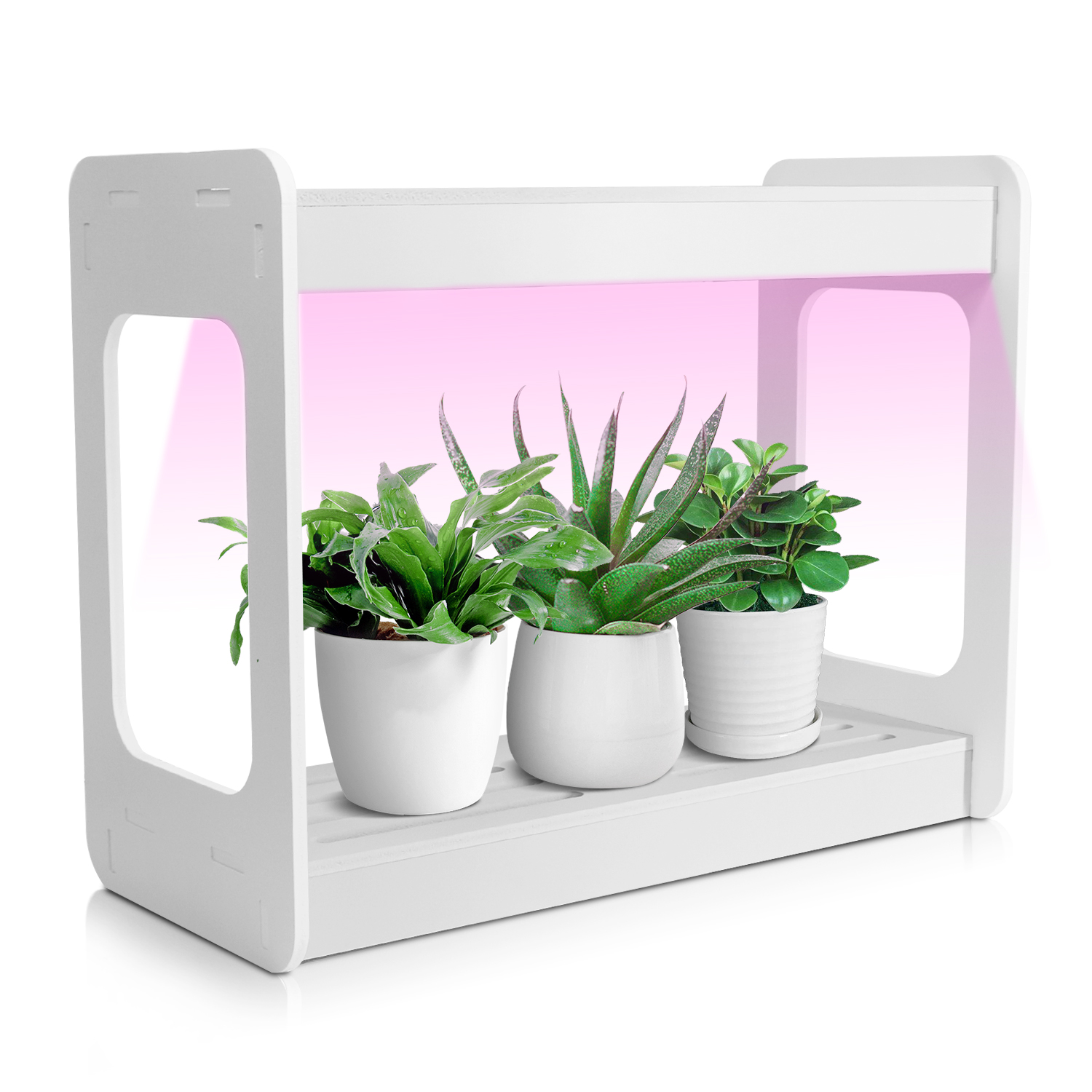Smart Mini LED Grow Light Syst - Smart Garden In Home 评论和价格