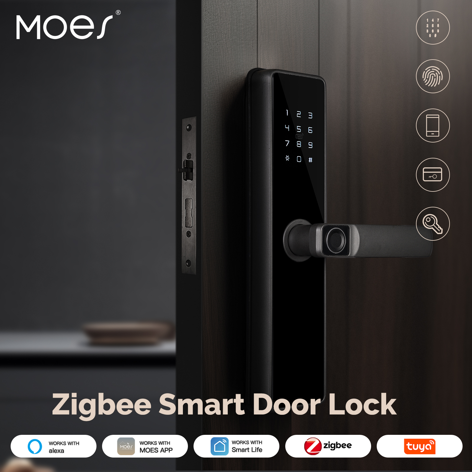 MOES Tuya ZigBee Smart Door Lo - Smart Garden Lock 评论和价格
