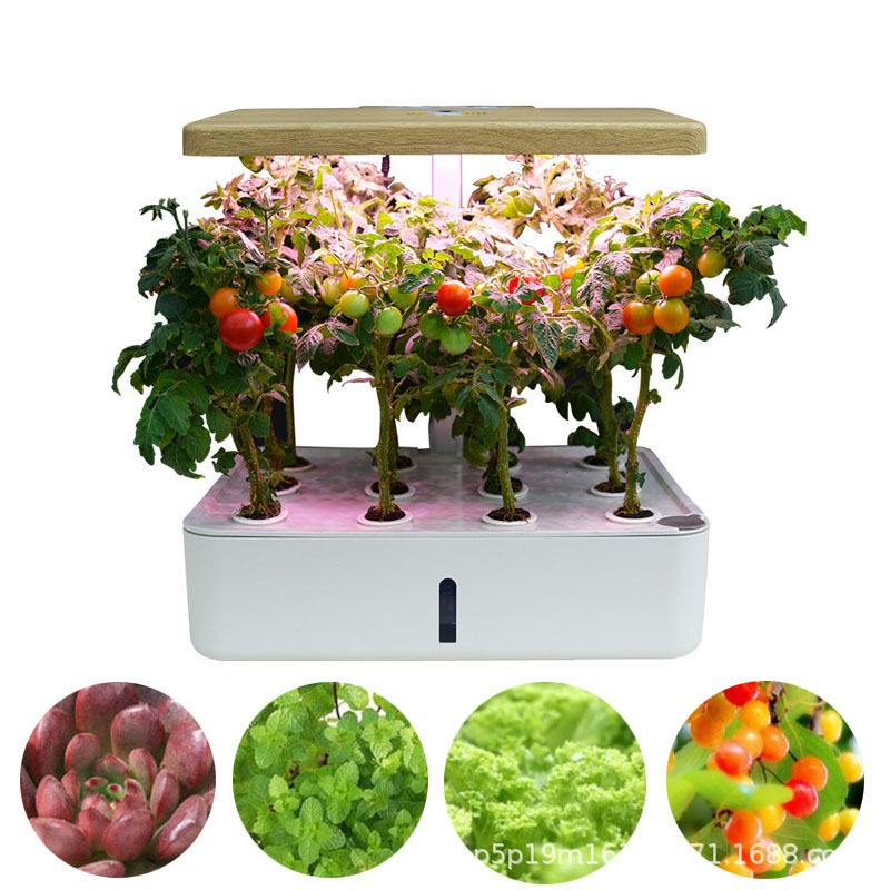 Gardening Indoor cultivation H - Smart Garden Box 评论和价格