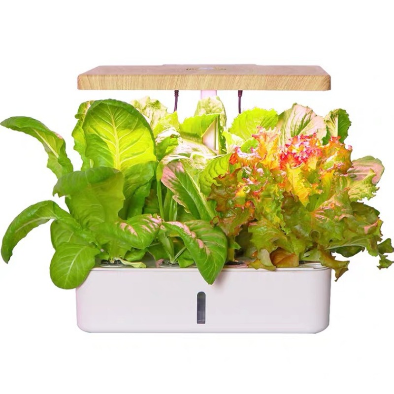 Gardening Indoor cultivation H - Smart Garden Box 评论和价格