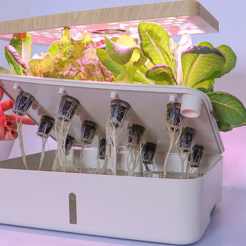 Gardening Indoor cultivation H - Smart Garden Box 评论和价格
