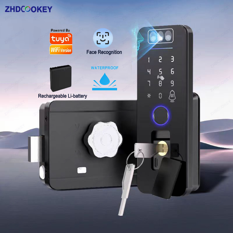 Waterproof 3D Face Recognition - Smart Garden Lock 评论和价格
