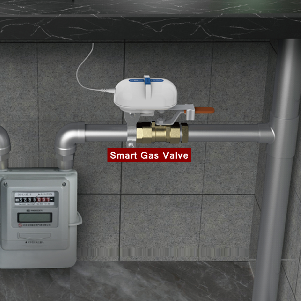 Tuya Smart Home WiFi Zigbee Wa - Smart Garden Sprinkler 评论和价格