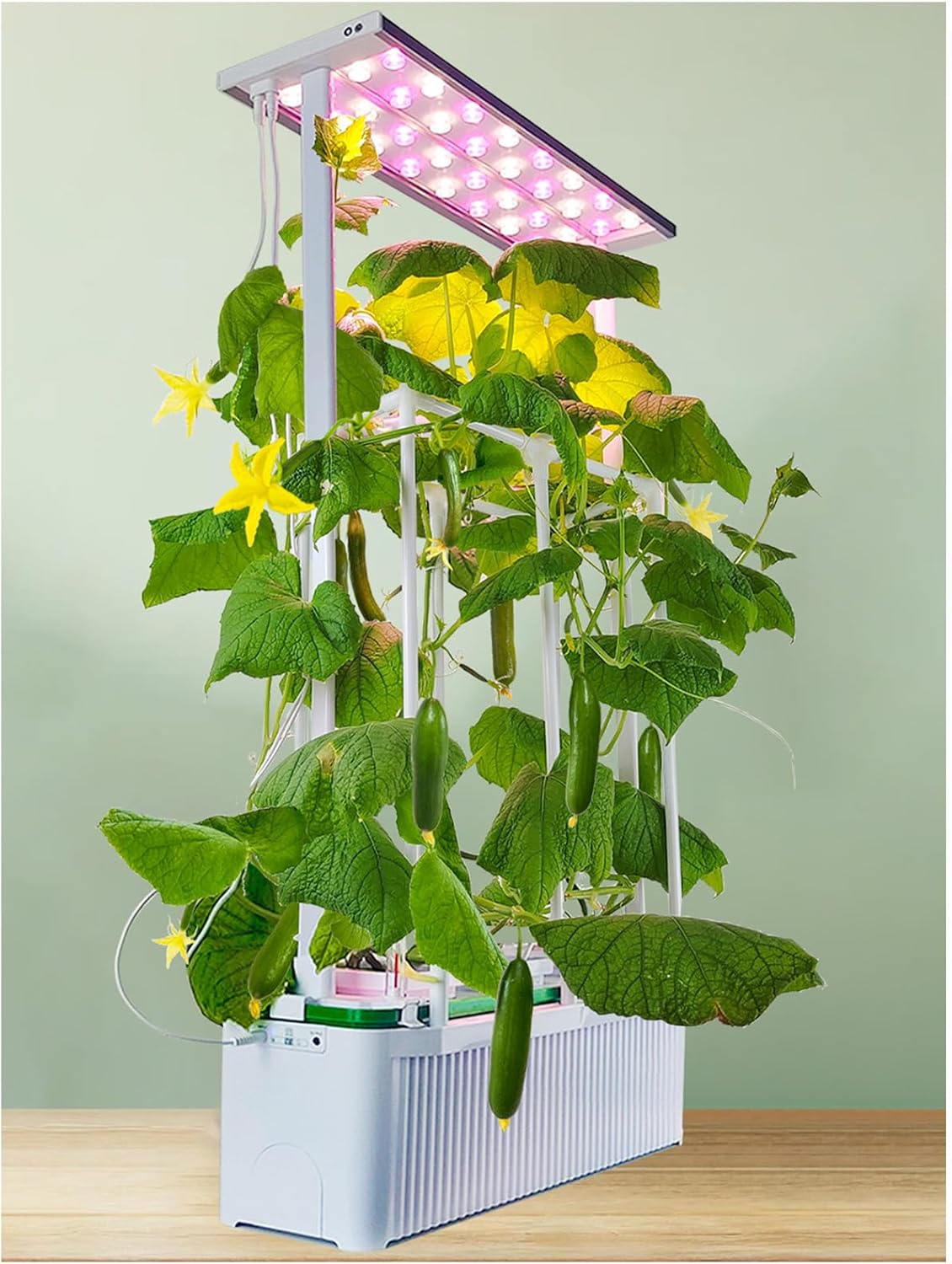 Large Hydroponics Growing Syst - Smart Garden Trellis 评论和价格