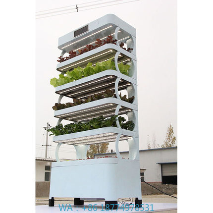 arming Home Hydroponic Growing - Smart Garden In Home 评论和价格