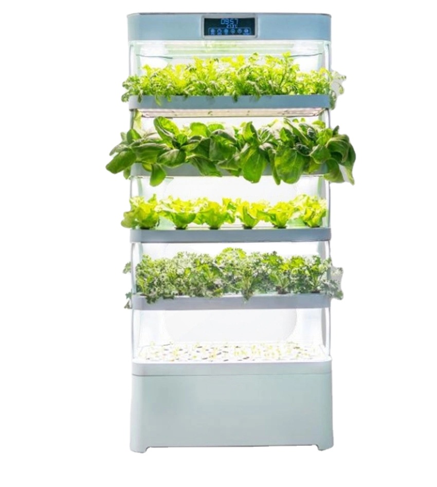arming Home Hydroponic Growing - Smart Garden In Home 评论和价格
