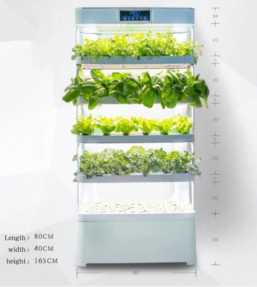 arming Home Hydroponic Growing - Smart Garden In Home 评论和价格