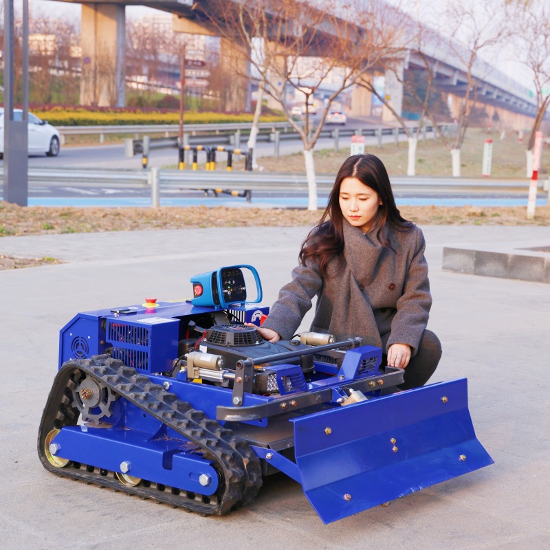 Customized Smart Wireless Lawn - Smart Garden In Home 评论和价格