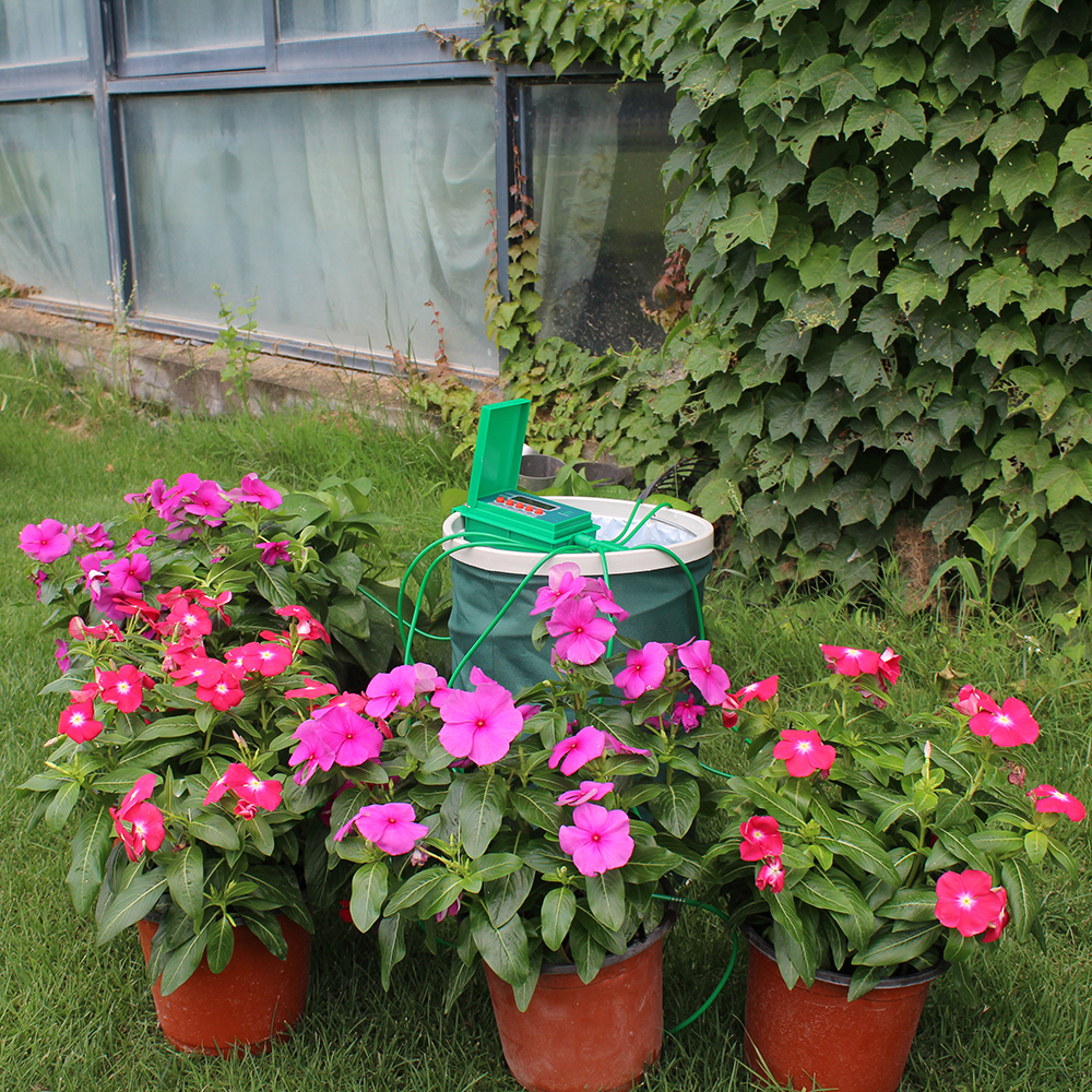 Garden Automatic Pump Drip Irr - Smart Garden Lock 评论和价格