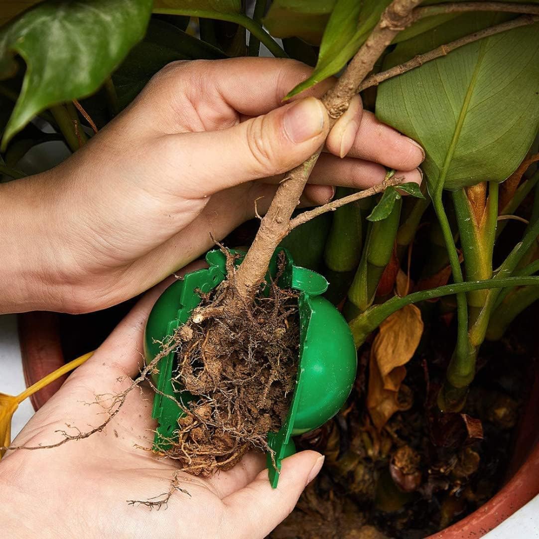 Reusable Plant Rooting Ball Ga - Smart Garden Box 评论和价格