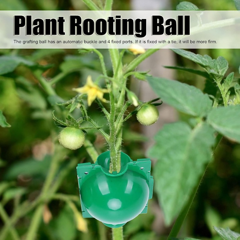 Reusable Plant Rooting Ball Ga - Smart Garden Box 评论和价格