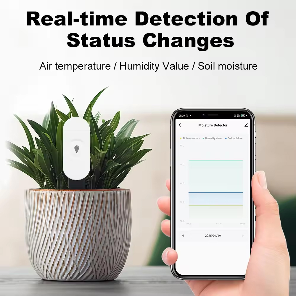 Tuya Zigbee Temperature Humidi - Smart Soil Sensor 评论和价格