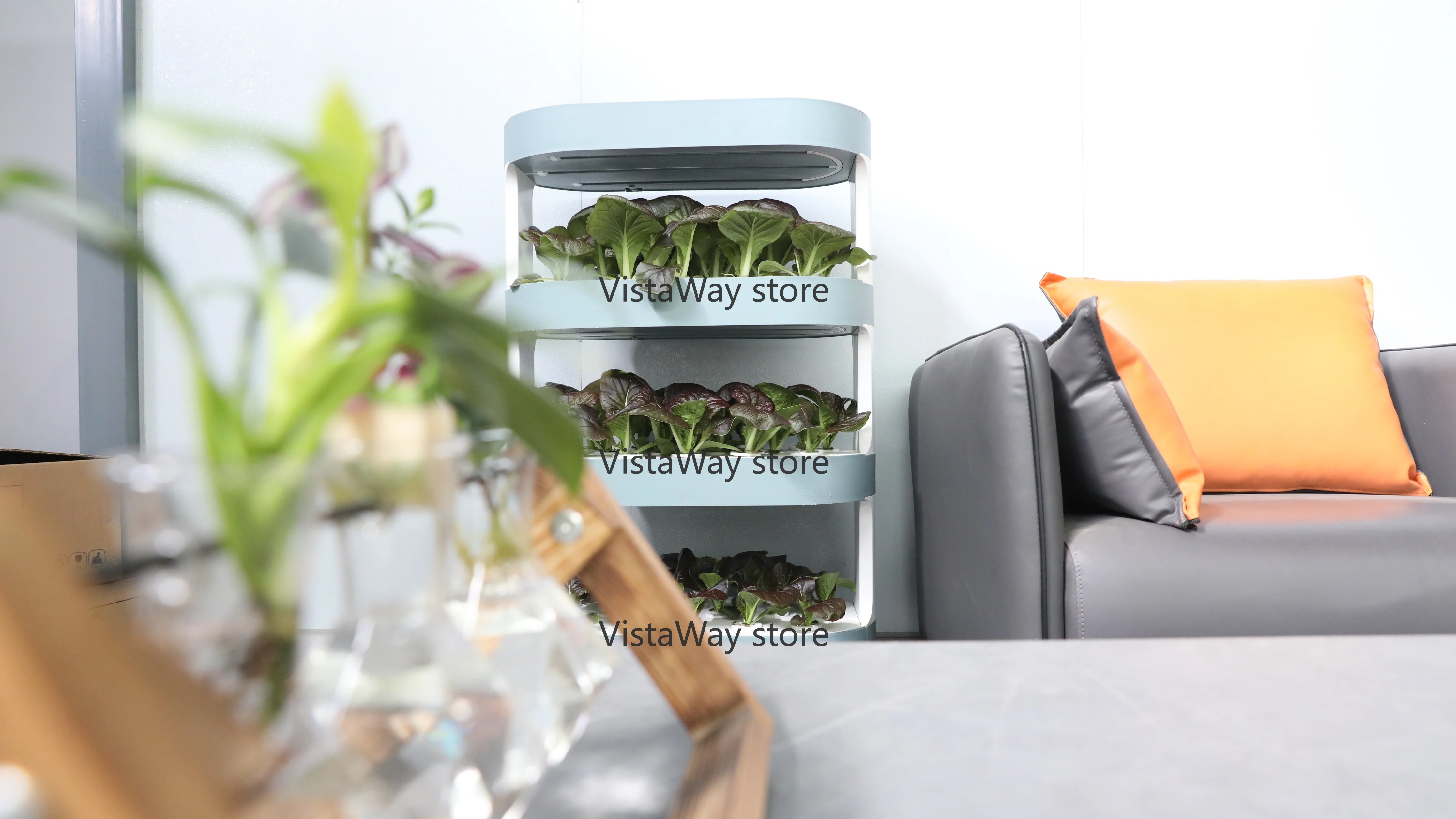 3 Tiered Raised Home Micro Far - Smart Garden Box 评论和价格