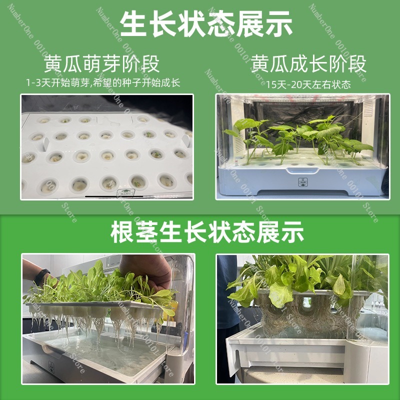 Home Balcony Smart Hydroponic  - Smart Garden Box 评论和价格