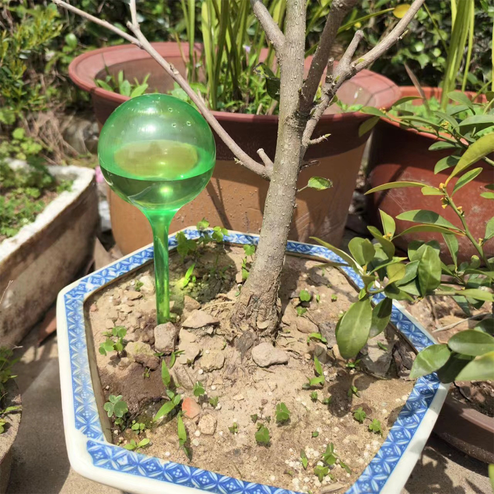 Automatic Plant Watering Bulbs - Smart Garden Auk 评论和价格