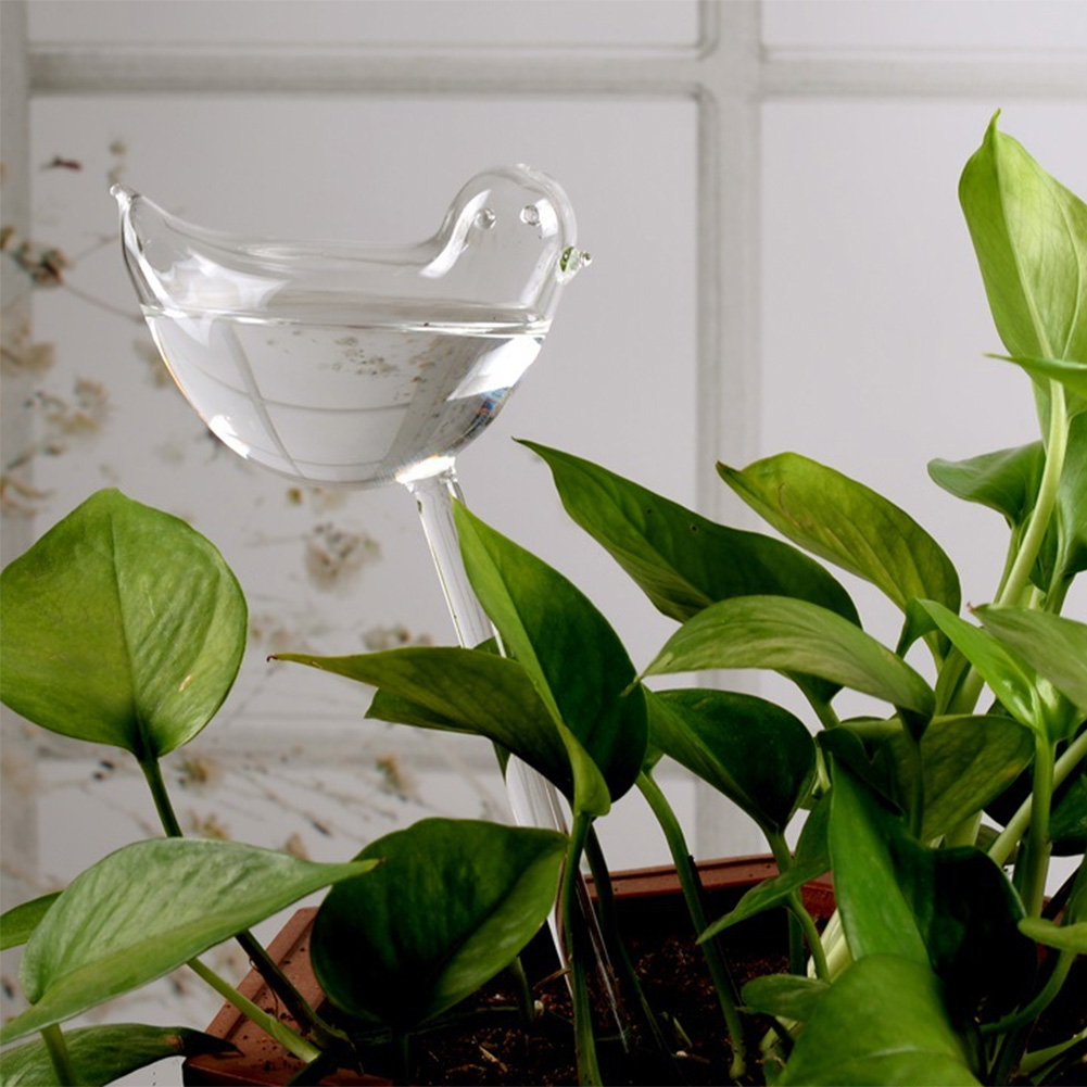 Automatic Plant Watering Bulbs - Smart Garden Auk 评论和价格