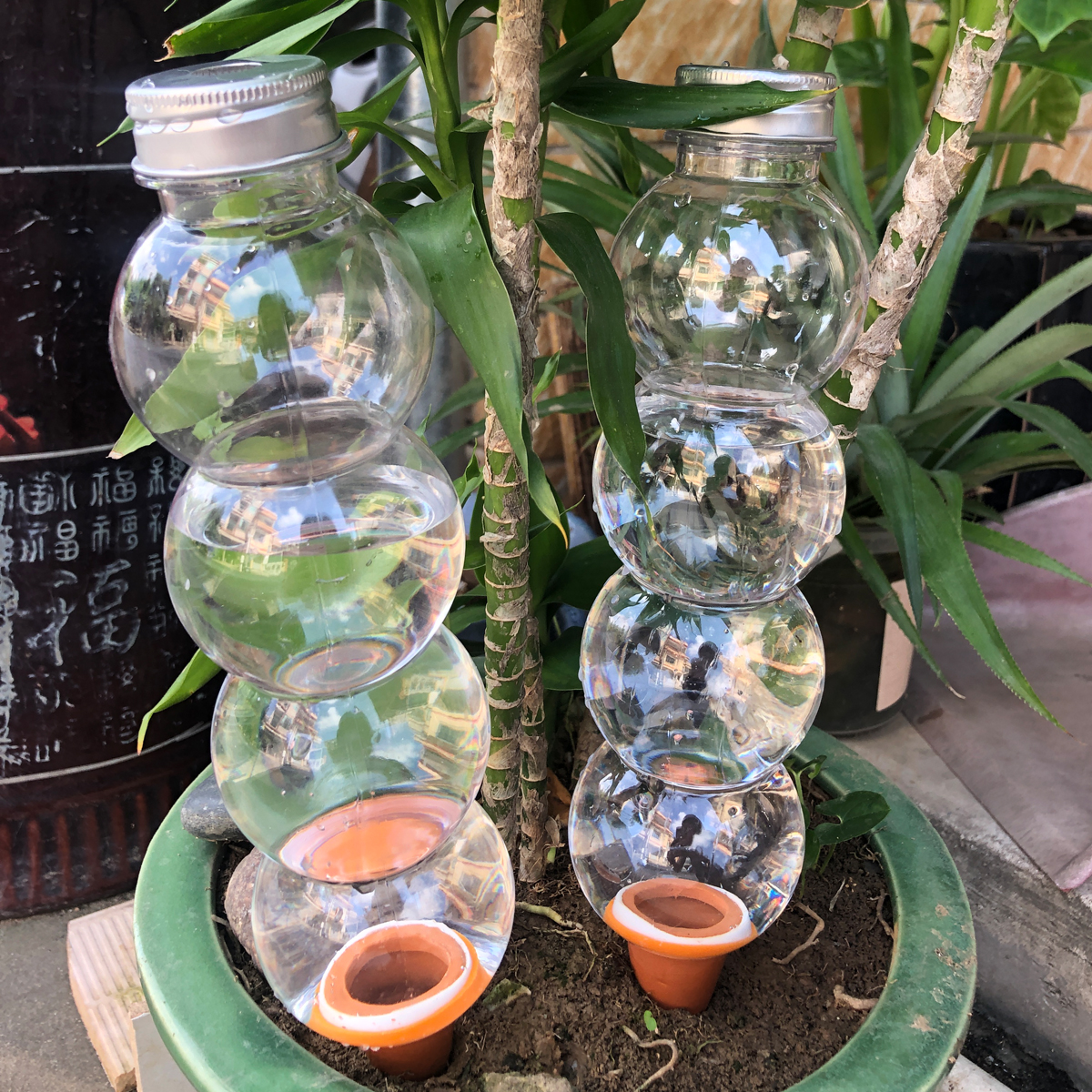 2 Pcs Automatic Plant Watering - Smart Garden Auk 评论和价格