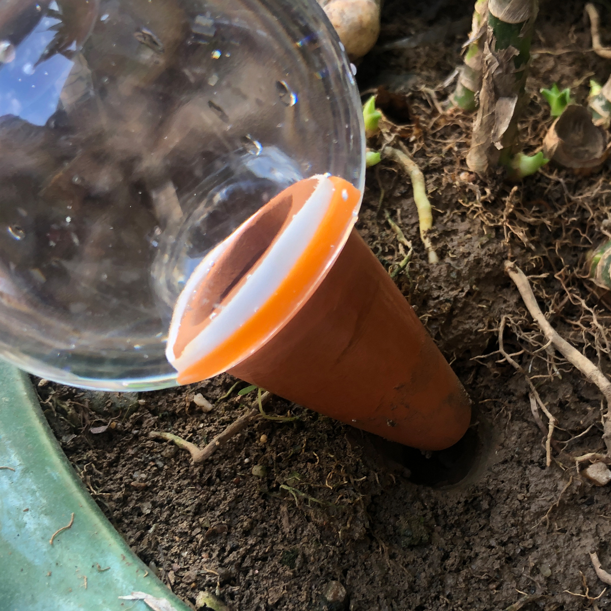2 Pcs Automatic Plant Watering - Smart Garden Auk 评论和价格