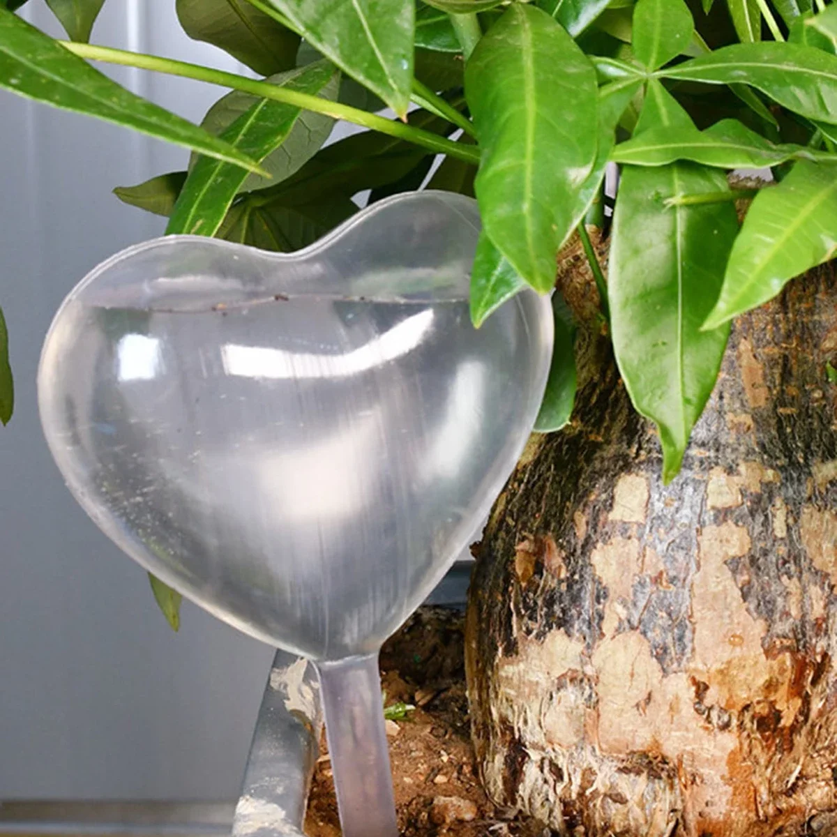 1pc Automatic Plant Watering B - Smart Garden Auk 评论和价格