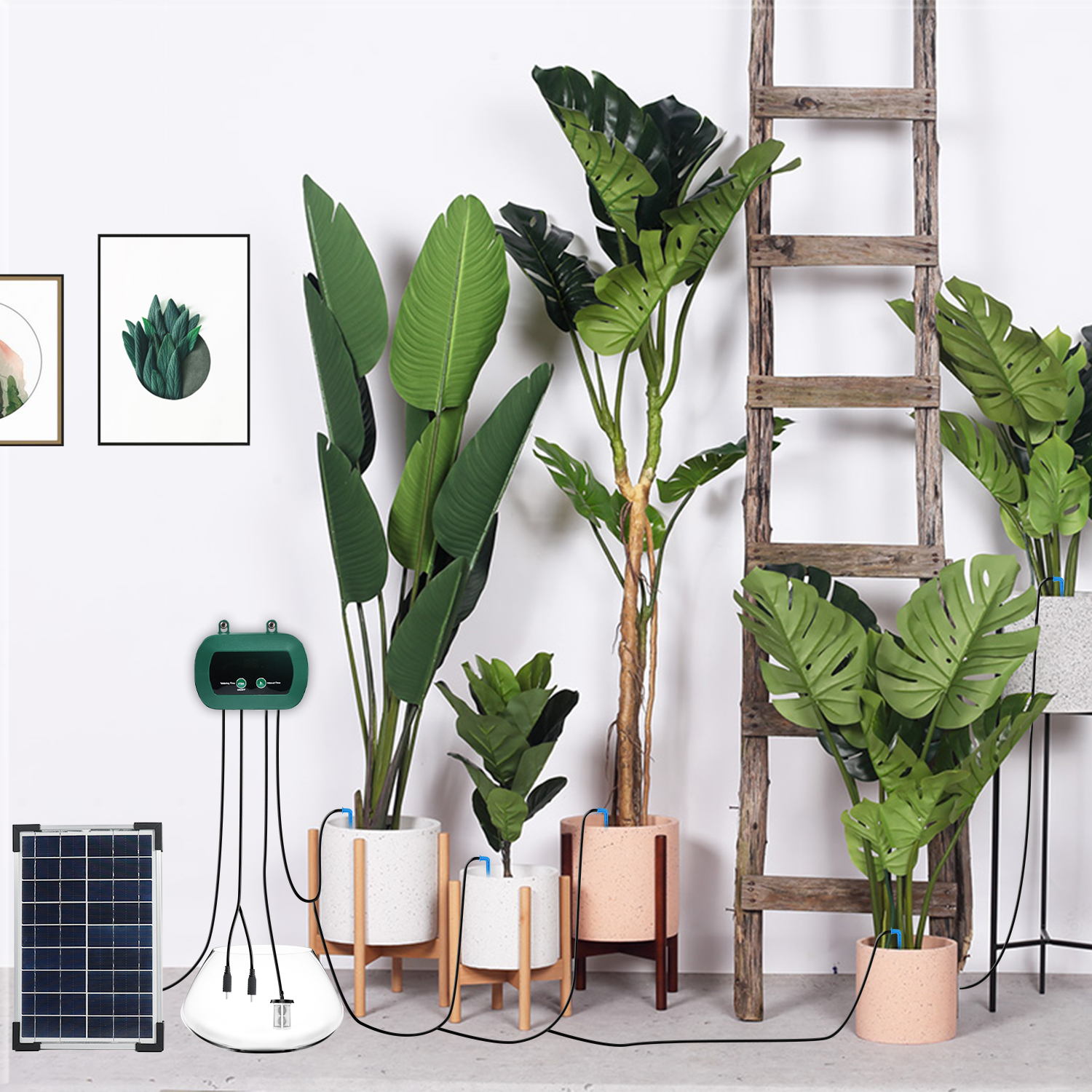 Solar Hydroponics Equipment  M - Smart Garden Watering 评论和价格
