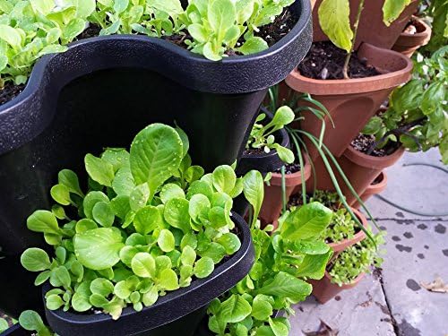 Smart Farm Automatic Self Wate - Smart Garden Watering 评论和价格