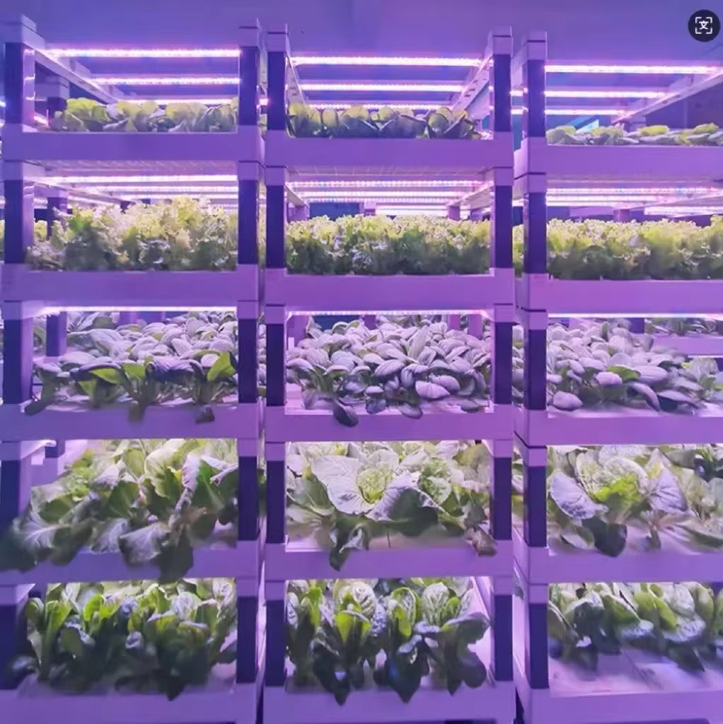 Hydroponic Grow System Greenho - Smart Garden In Home 评论和价格