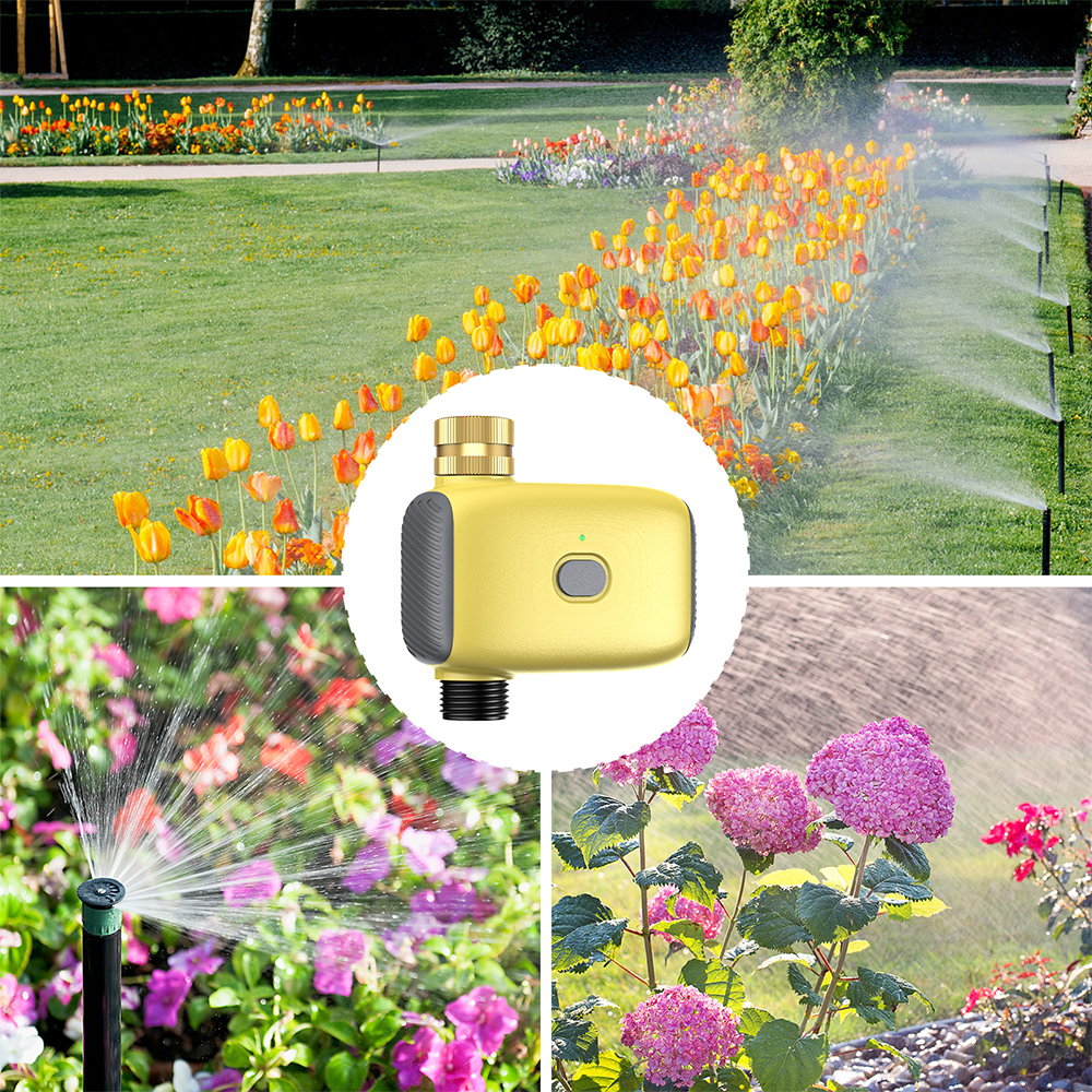 Wholesale Smart Digital  Water - Smart Garden Watering 评论和价格